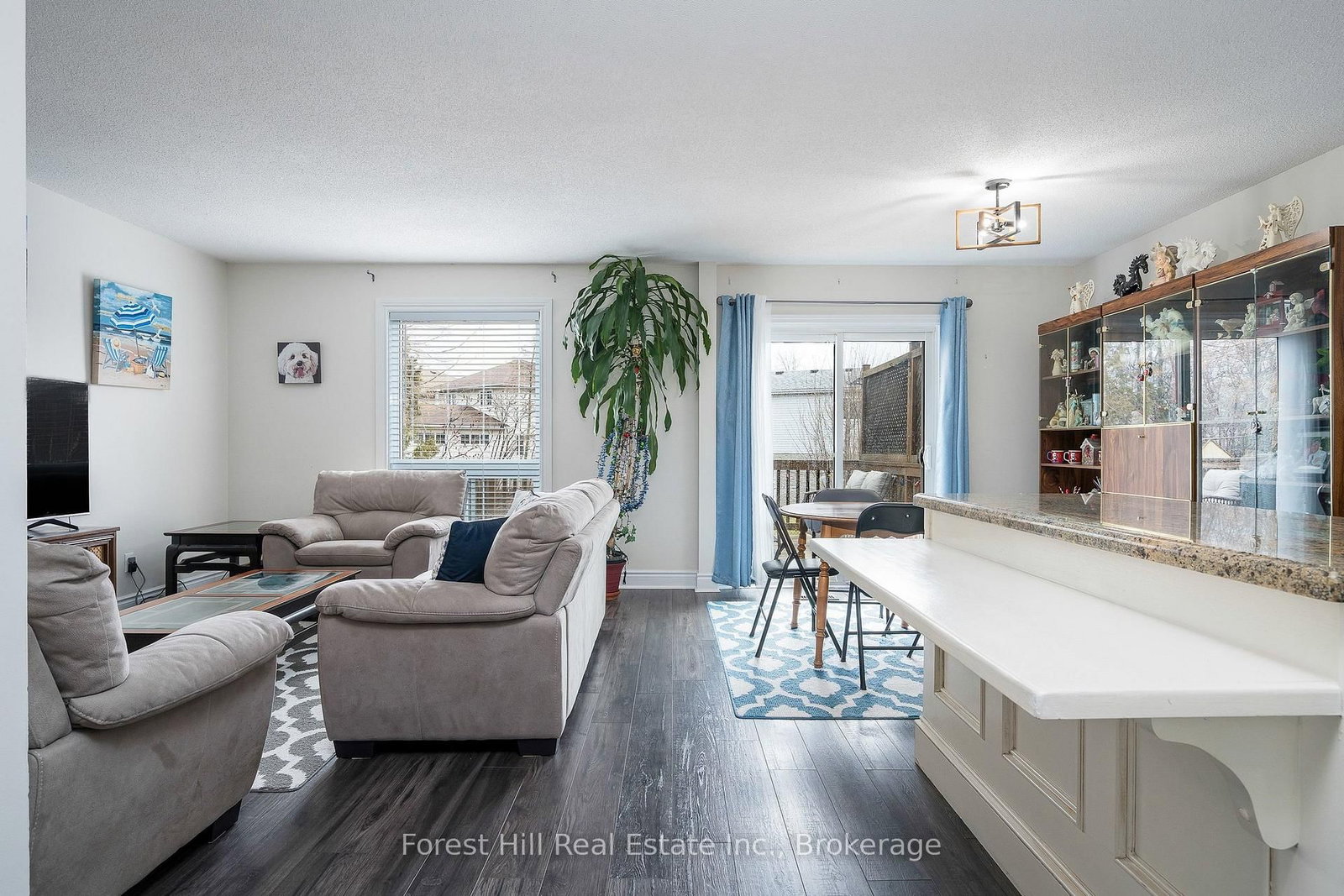 29 Dillon Drive • Collingwood, ON photo 9