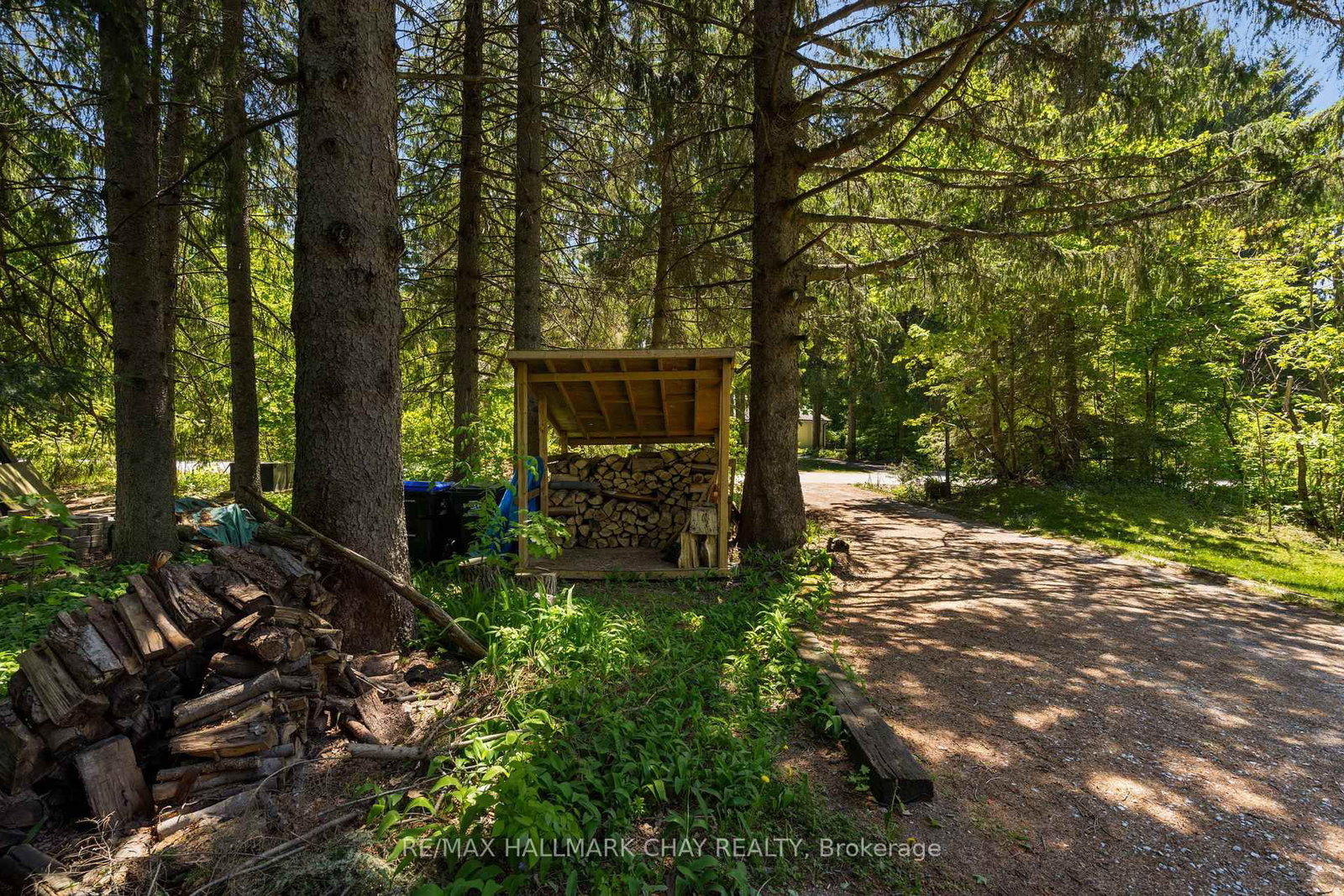 47 Cathedral Pines Road • Oro-Medonte, ON photo 29