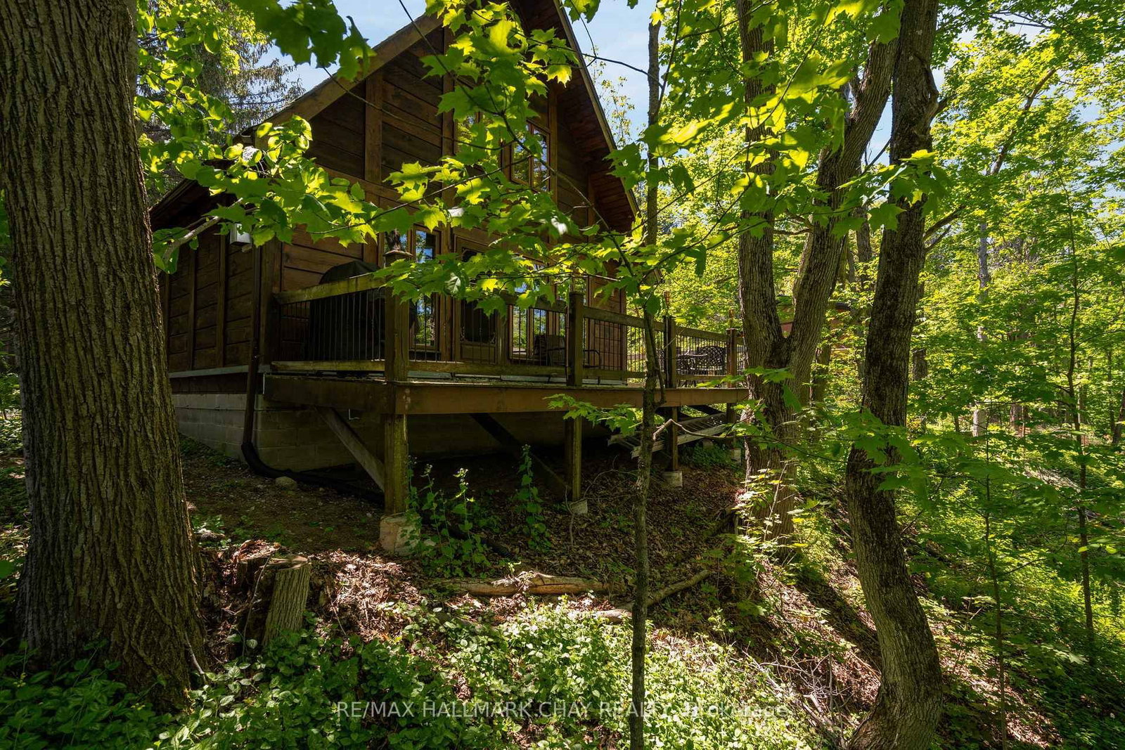 47 Cathedral Pines Road • Oro-Medonte, ON photo 34