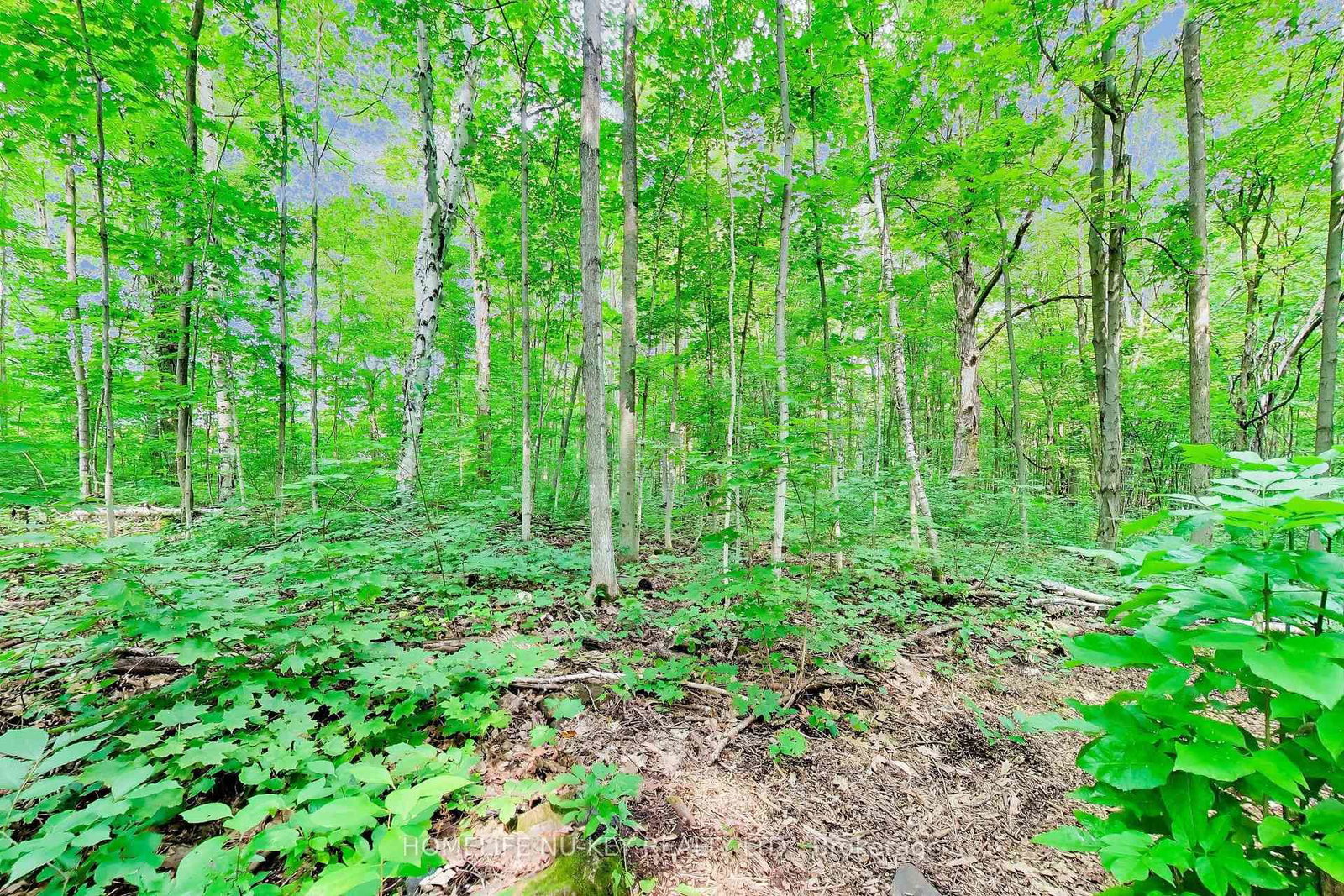 1655 Georgian Heights Boulevard • Severn, ON photo 49