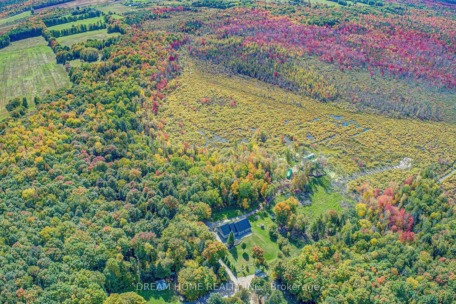 1119 Sajnovic Place • Ramara, ON photo 43