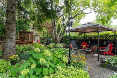 148 Napier Street • Collingwood, ON photo 3