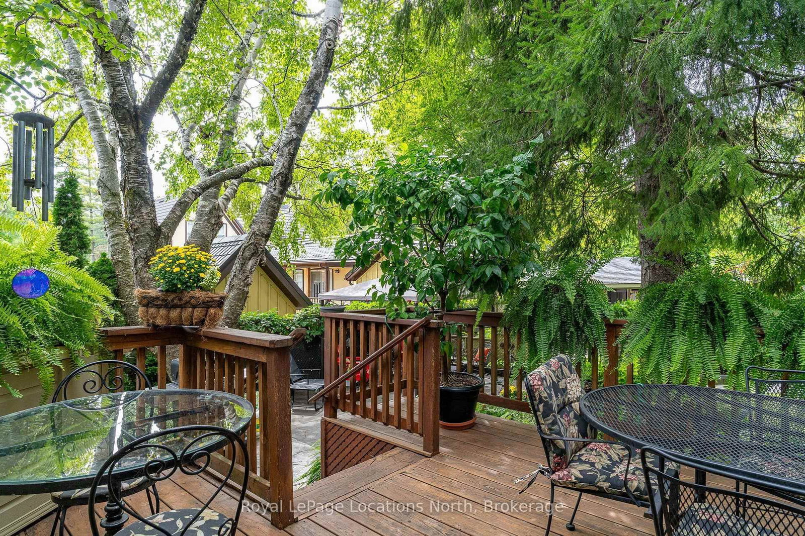 148 Napier Street • Collingwood, ON photo 42