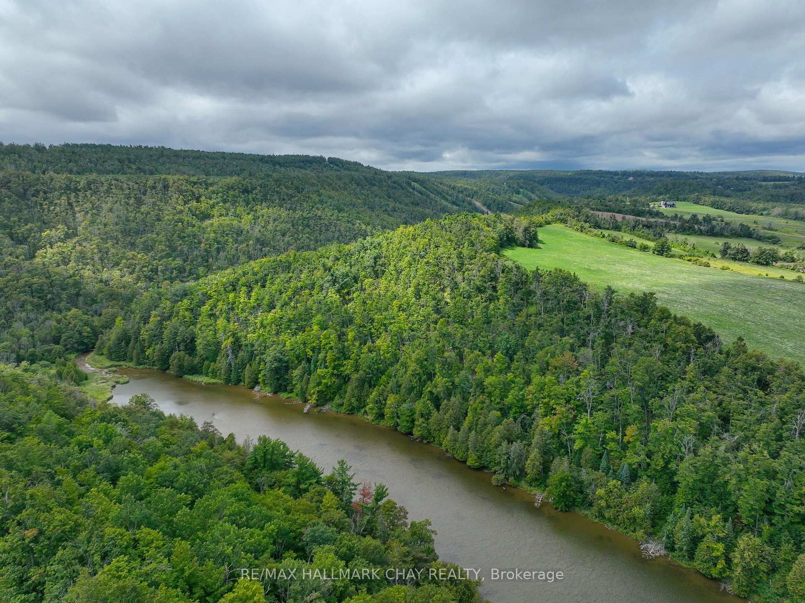 2110 Concession 8 Road • Clearview, ON photo 49