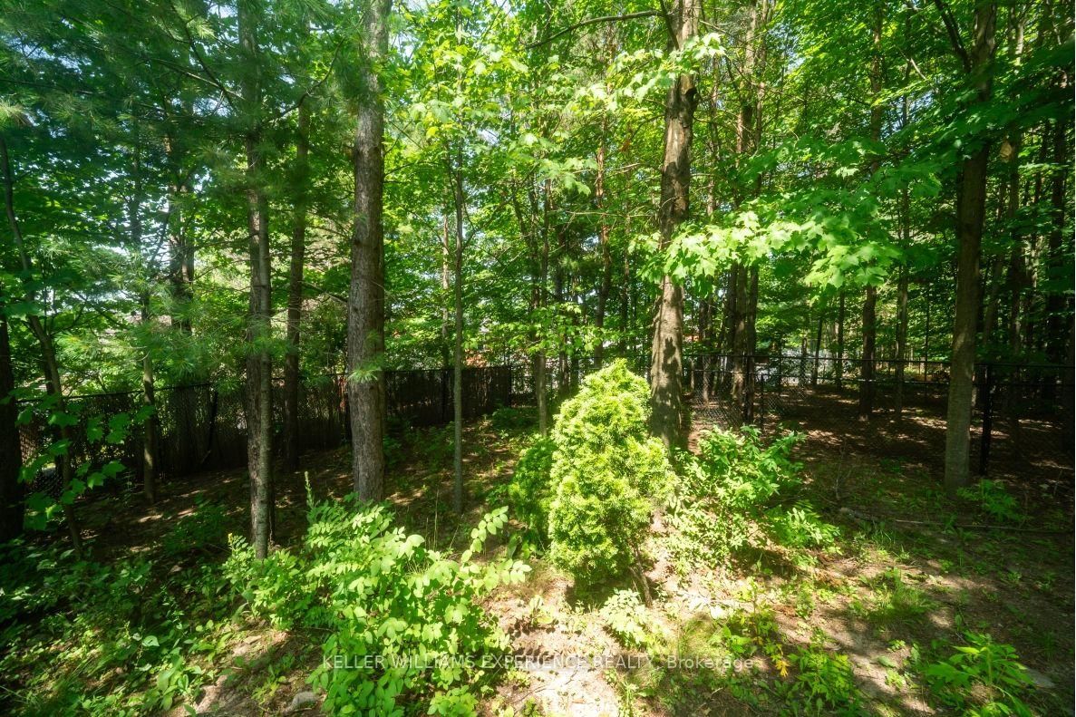5 Grouse Glen • Barrie, ON photo 14