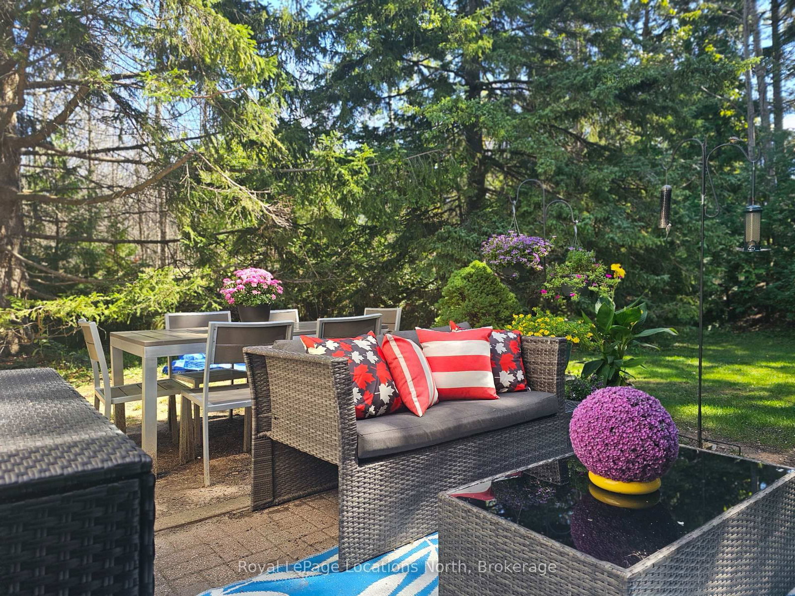 911 Cedar Pointe Court • Collingwood, ON photo 8