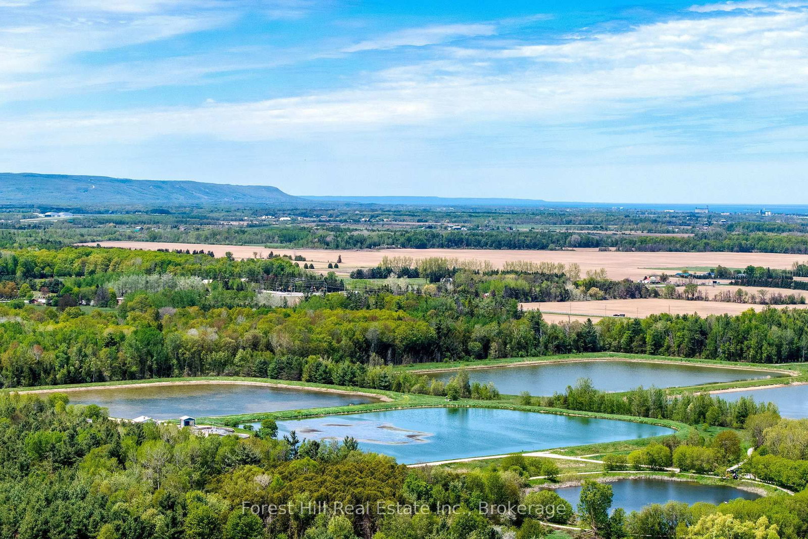 281 Springfield Crescent • Clearview, ON photo 29