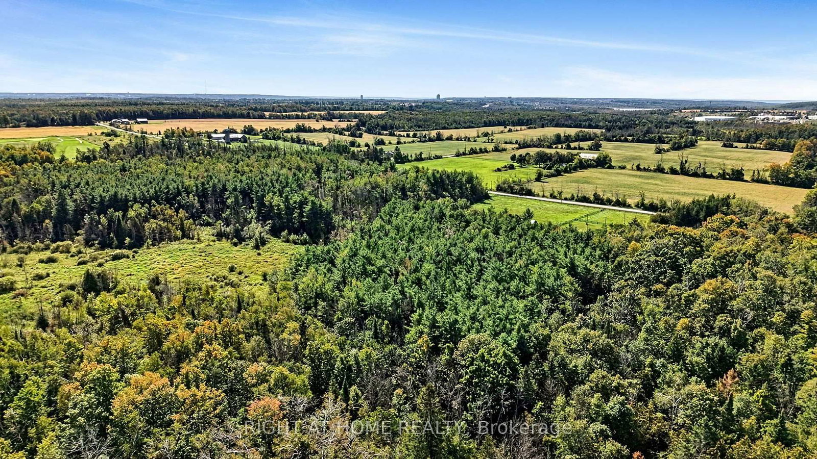 323 First Line S • Oro-Medonte, ON photo 45