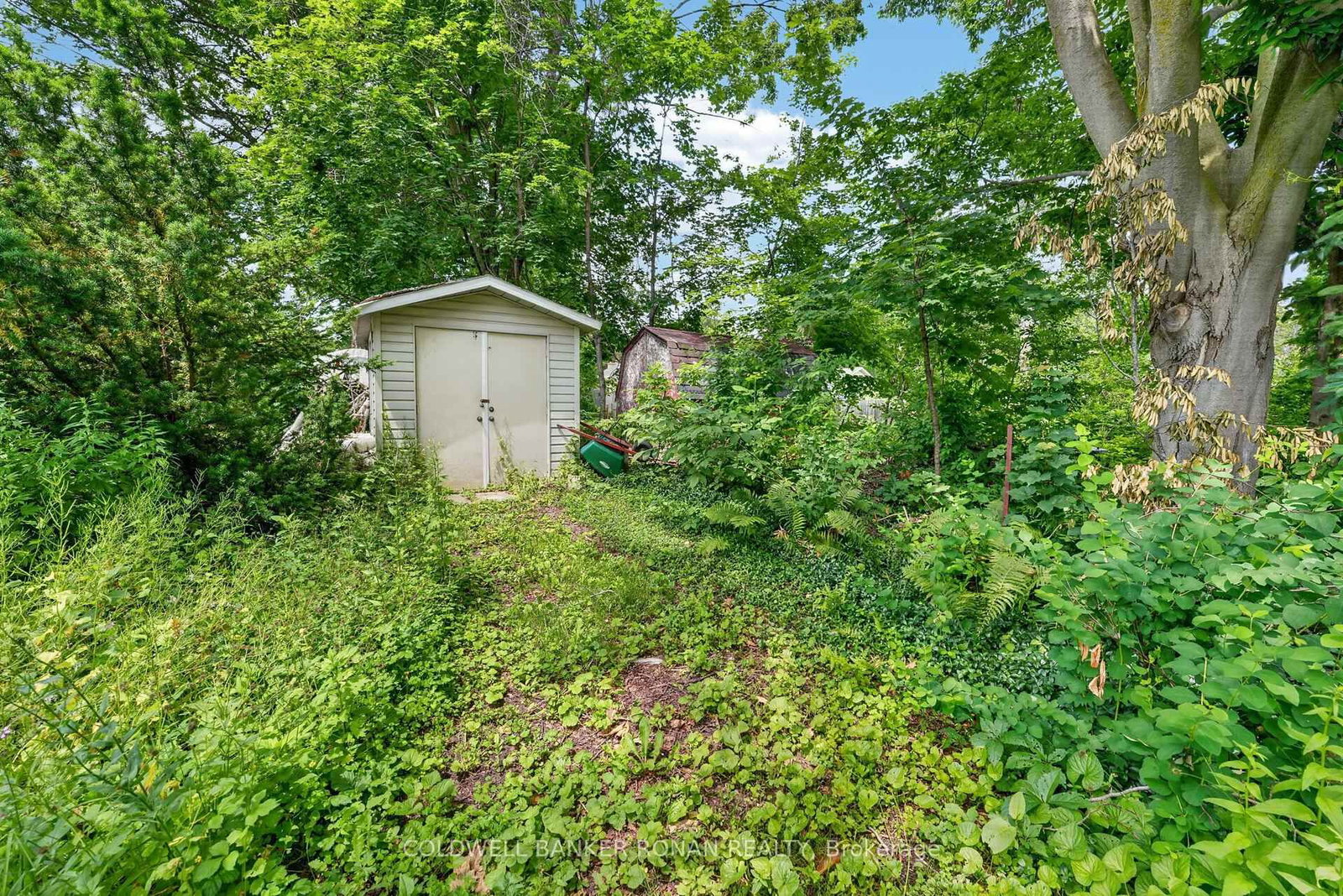 9 Vine Street • Barrie, ON photo 46
