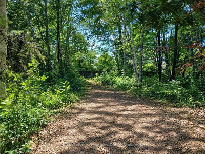 88 Smallman Drive • Wasaga Beach, ON photo 2