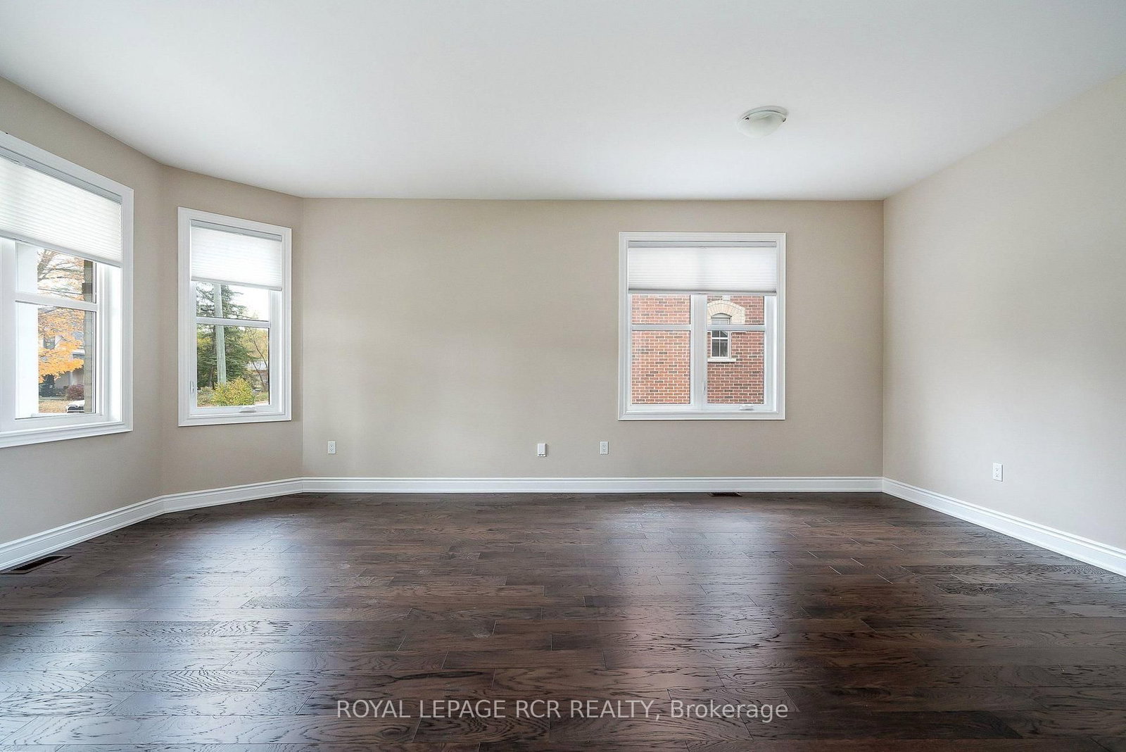 213 Mary Street • Clearview, ON photo 13