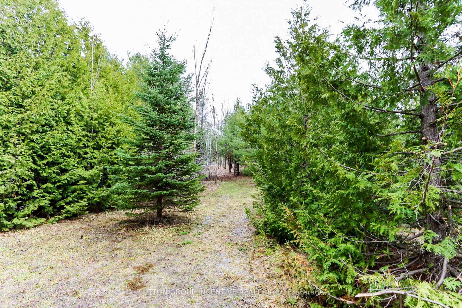 2790 Old Second Road S • Springwater, ON photo 21