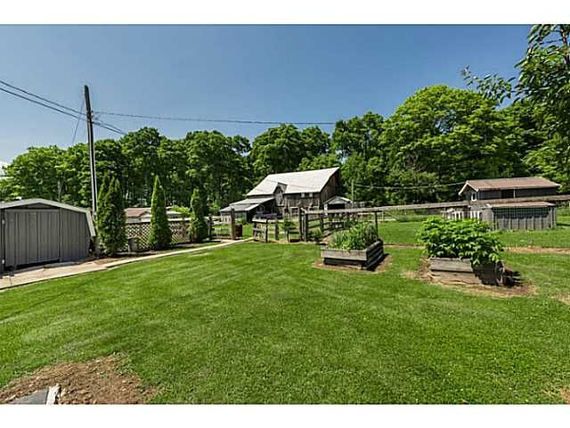 1424 Klondike Park Rd, Clearview, L0M 1S0 | Image 3