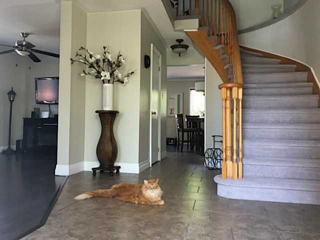 242 Mapleton Ave, Barrie, L4N 8T7 | Image 2