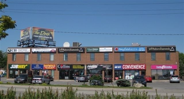 208 - 331 Bayfield St, Barrie, L4M 3C2 | Image 2