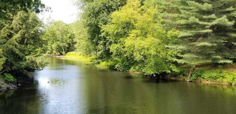 6500 Rama/Dalton Boundary Rd, Ramara, L0K 1W0 | Image 3