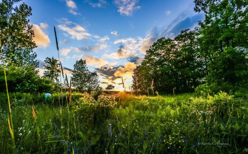 18 Swan Lane, Tay, L0K1R0 | Image 2