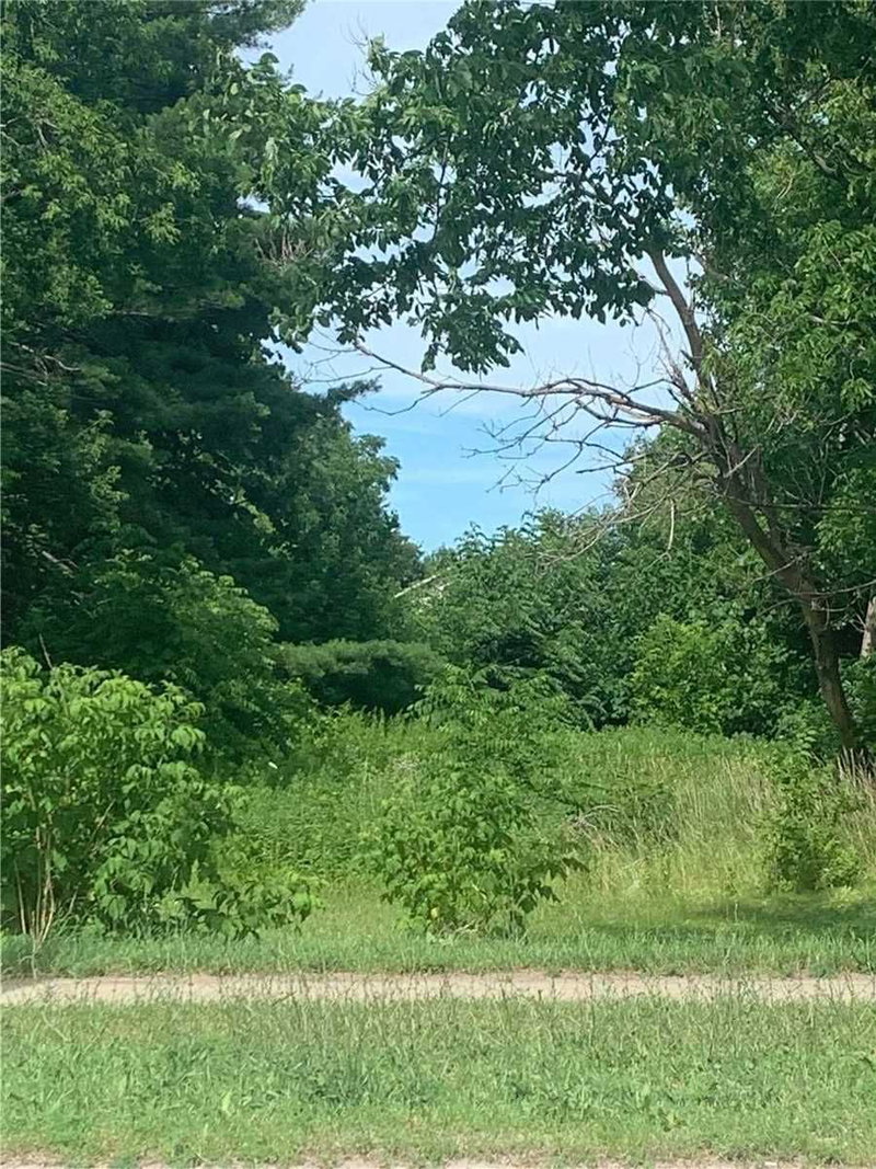 423 Yonge St, Barrie, L4N 4E1 | Image 3