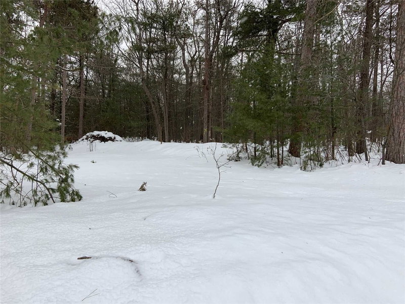 8 Poplar St, Wasaga Beach, L9Z2X5 | Image 2