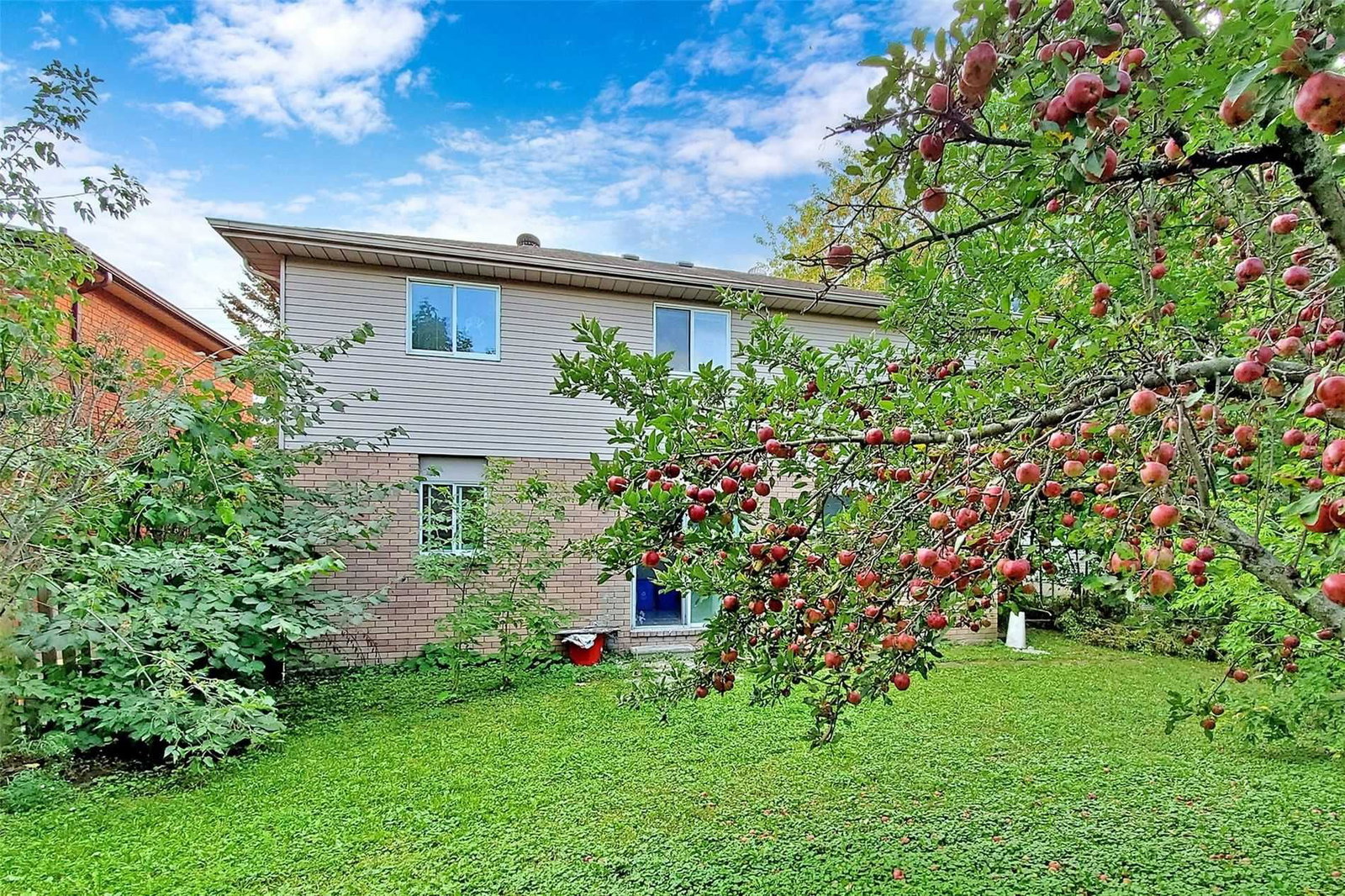 Listing Image 8