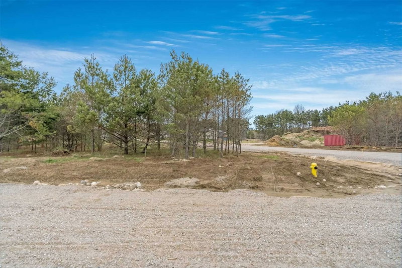 Lot 44 Rue Eric, Tiny, L9M 0H1 | Image 2