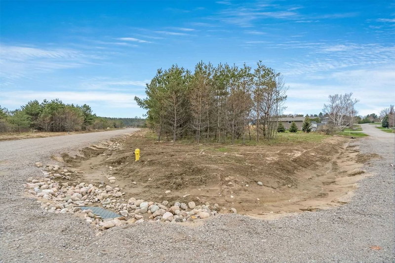 Lot 44 Rue Eric, Tiny, L9M 0H1 | Image 3