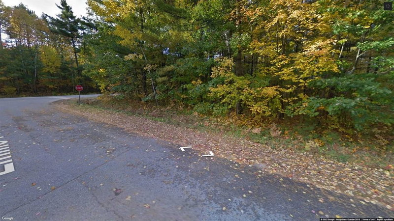 Lot 89 Vincent Circ, Tiny, L0L 2T0 | Image 3