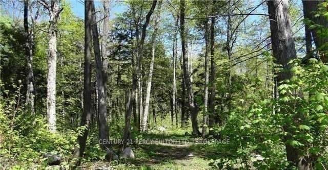 Lot F1 Nippissing Ridge Road