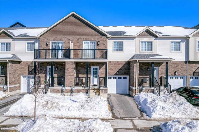 25 Brown Bear Street