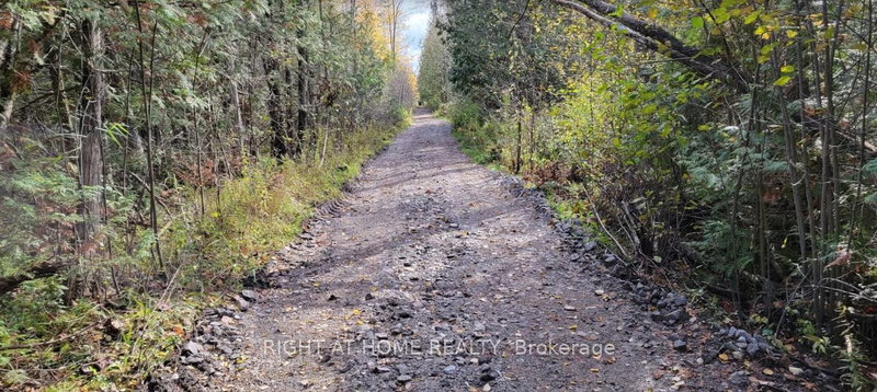 53 Scarlett Line, Oro-Medonte, L0L 1V0 | Image 3