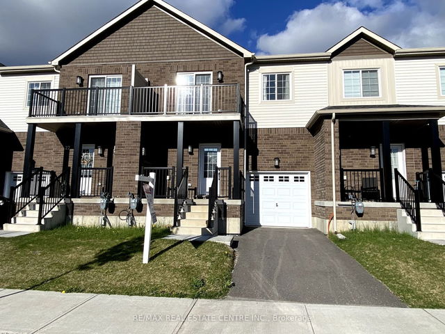 25 Brown Bear Street