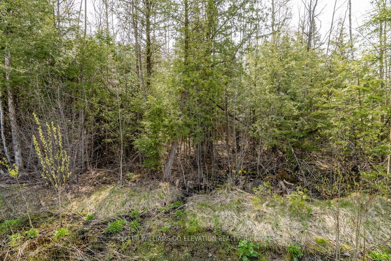 Lot 438 Champlain Rd, Tiny, L9M 1S5 | Image 3