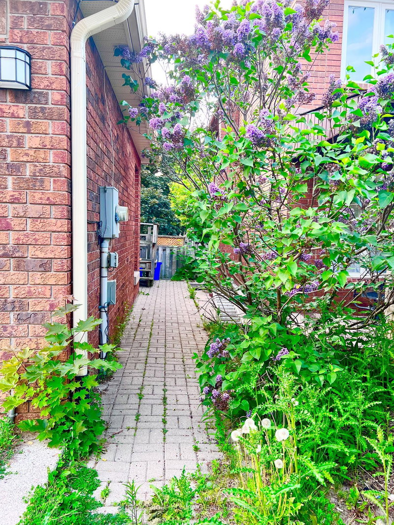 Bsmt - 71 Trillium Cres, Barrie, L4N 6H6 | Image 2