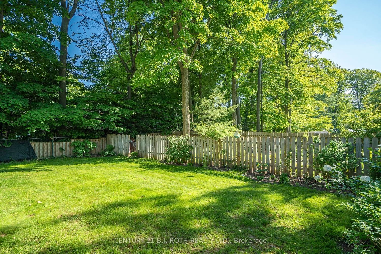 Listing Image 33