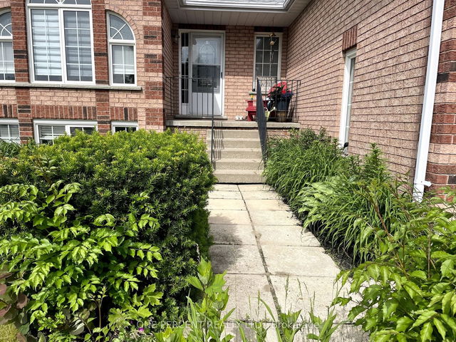 26 Marsellus Drive