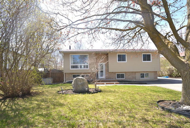 205 Pine Drive