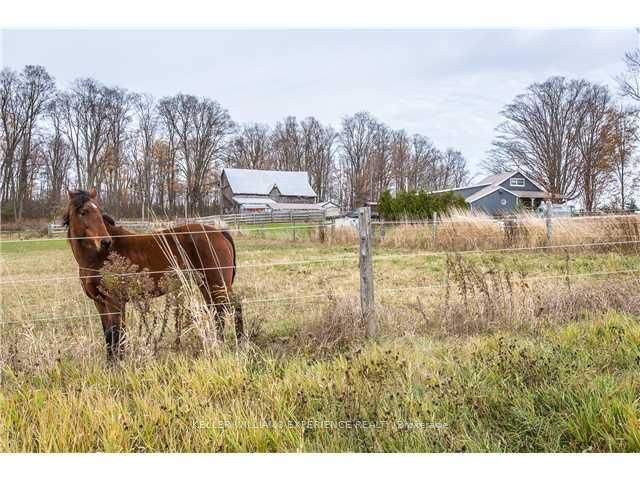 1424 Klondike Park Rd, Clearview, L0M 1S0 | Image 2