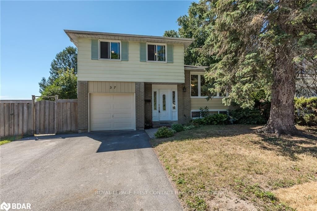 Listing Image 2