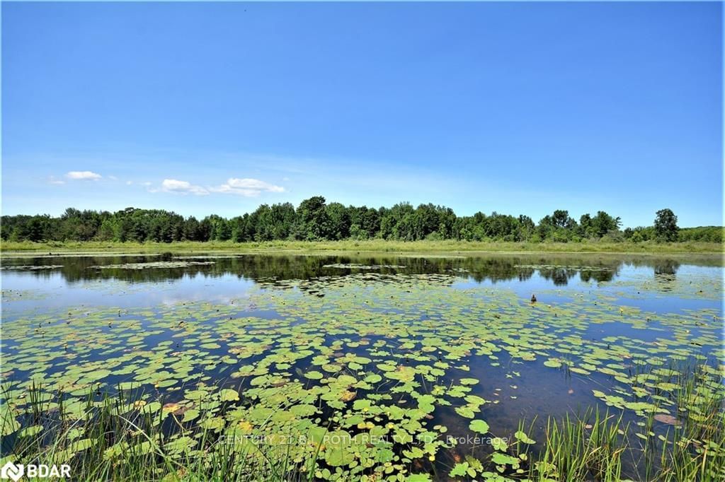 Listing Image 33