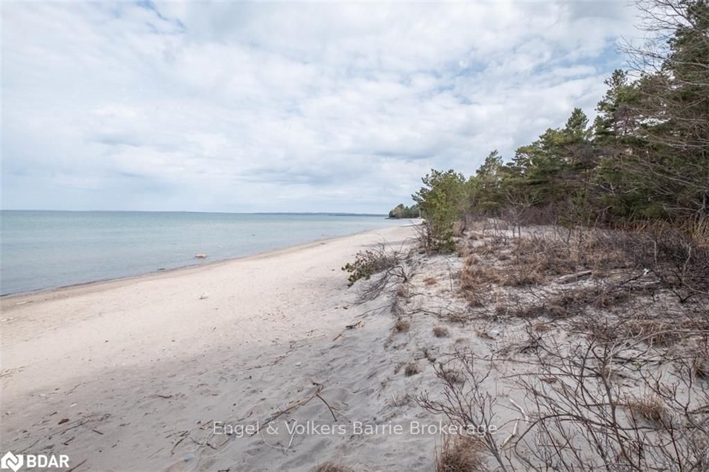 Listing Image 29