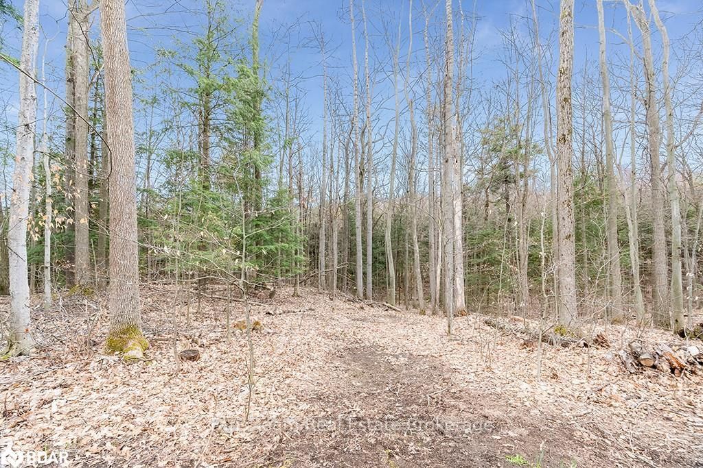 Listing Image 34