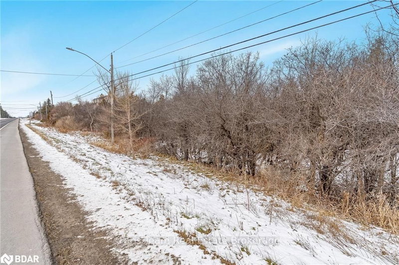 9746 Beachwood Rd, Collingwood, L9Y 3Z1 | Image 3