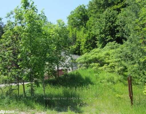 17 Pine Ridge Tr, Oro-Medonte, L4M 4Y8 | Image 2