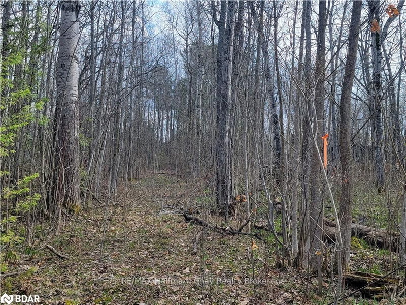 8 Crescent Dr, Tay, L0K 2A0 | Image 2