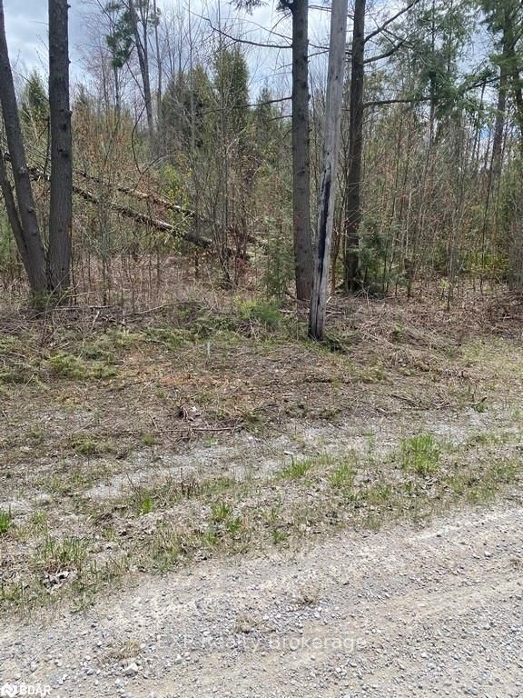 1979 Concession M-N Rd, Ramara, L0L 1T0 | Image 2