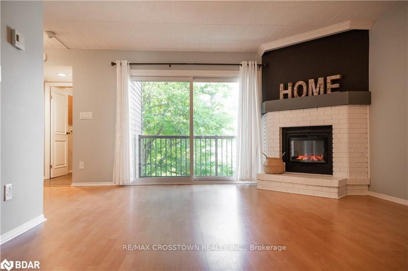 219 - 1102 Horseshoe Valley Rd, Oro-Medonte, L4M 4Y8 | Image 3