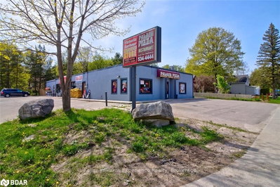 Commercial/Retail sold at 338 Park Street, Tay, Ontario, L0K 2A0 - Victoria Harbour - MLS: S6328780