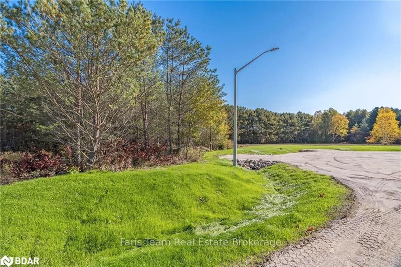 Lot 24 Rue Eric, Tiny, L9M 0H1 | Image 3