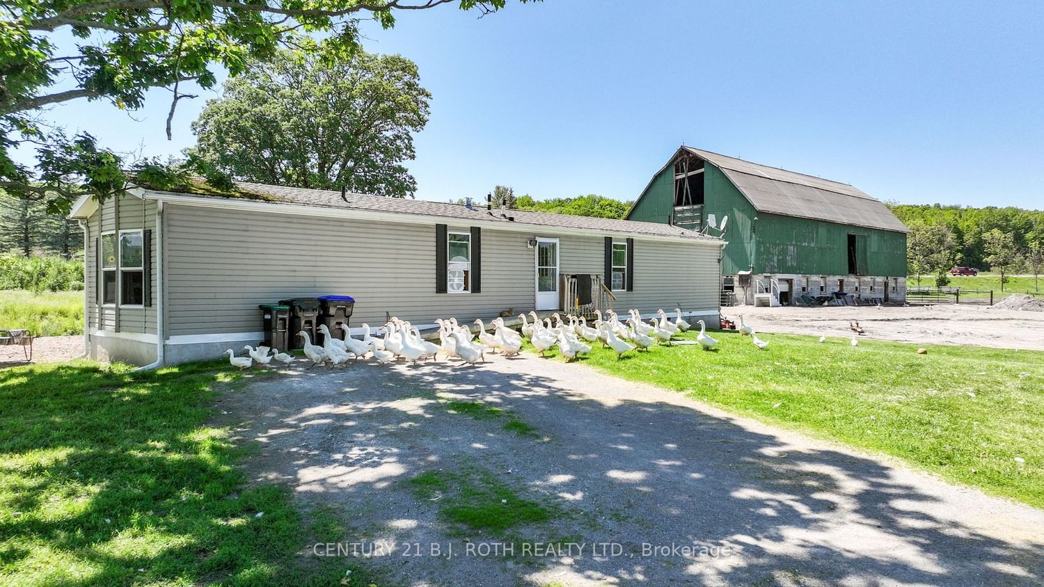 Listing Image 2