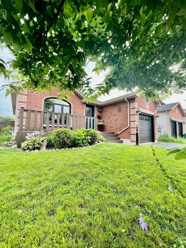 23 White Elm Road